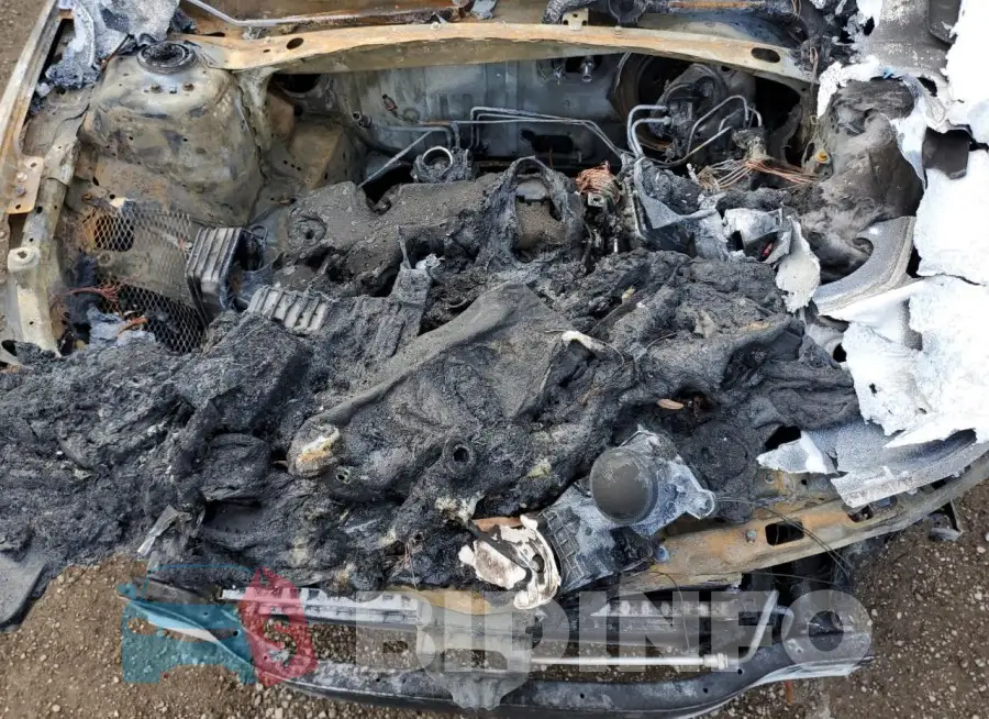 1G1ZG5ST2LF148281 Photo# 11