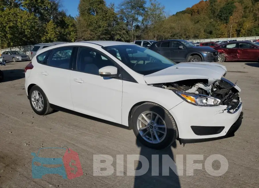 1FADP3K25GL343589 Photo# 4