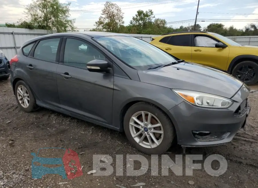 1FADP3K23GL318769 Photo# 4