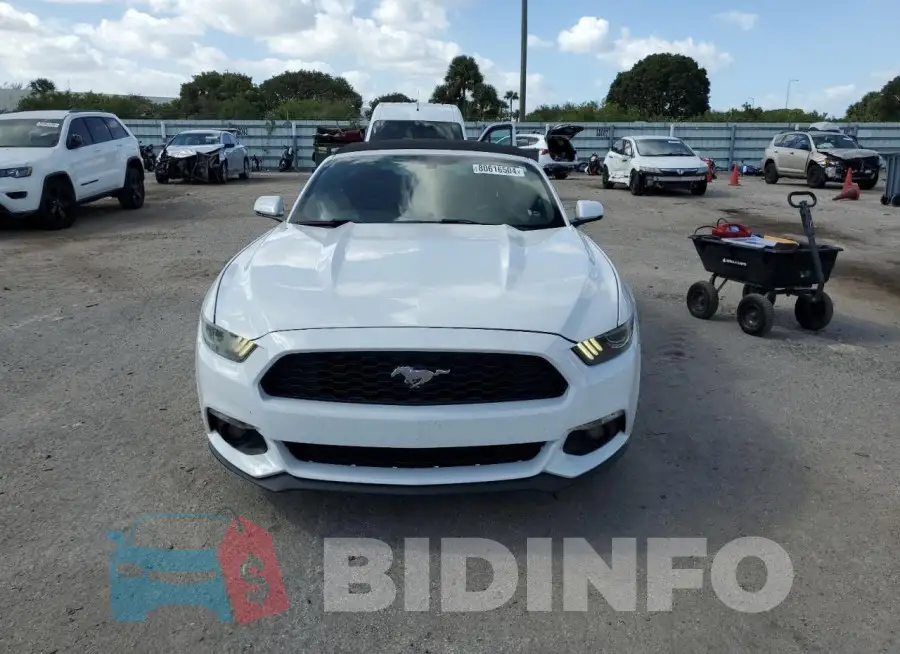 1FATP8UH3G5295654 Photo# 5