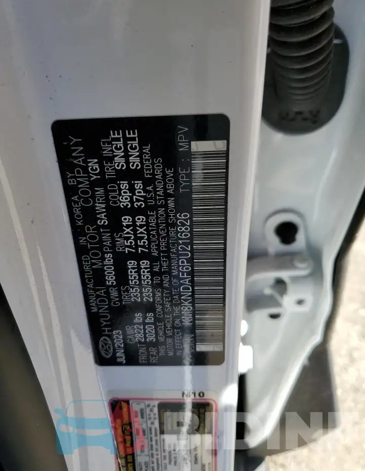 KM8KNDAF6PU216826 Photo# 13