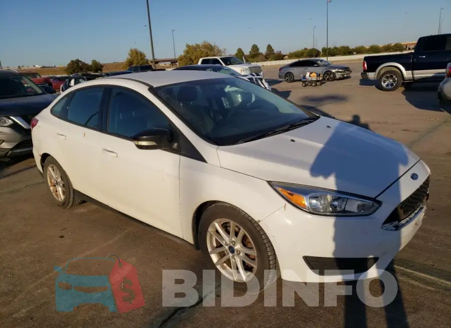 1FADP3F24GL293102 Photo# 4
