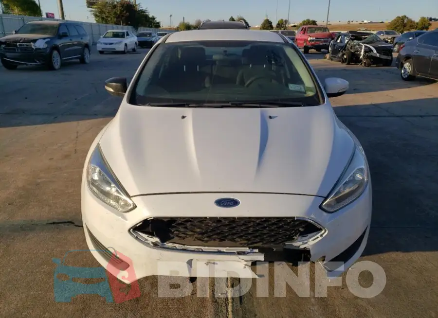 1FADP3F24GL293102 Photo# 5