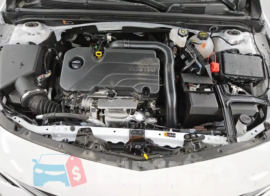 1G1ZD5ST0RF238983 Photo# 11