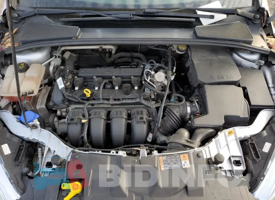 1FADP3F22GL404200 Photo# 11