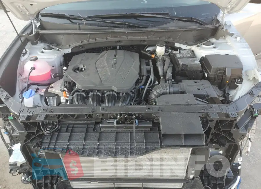 5NMJB3DE5RH429282 Photo# 12