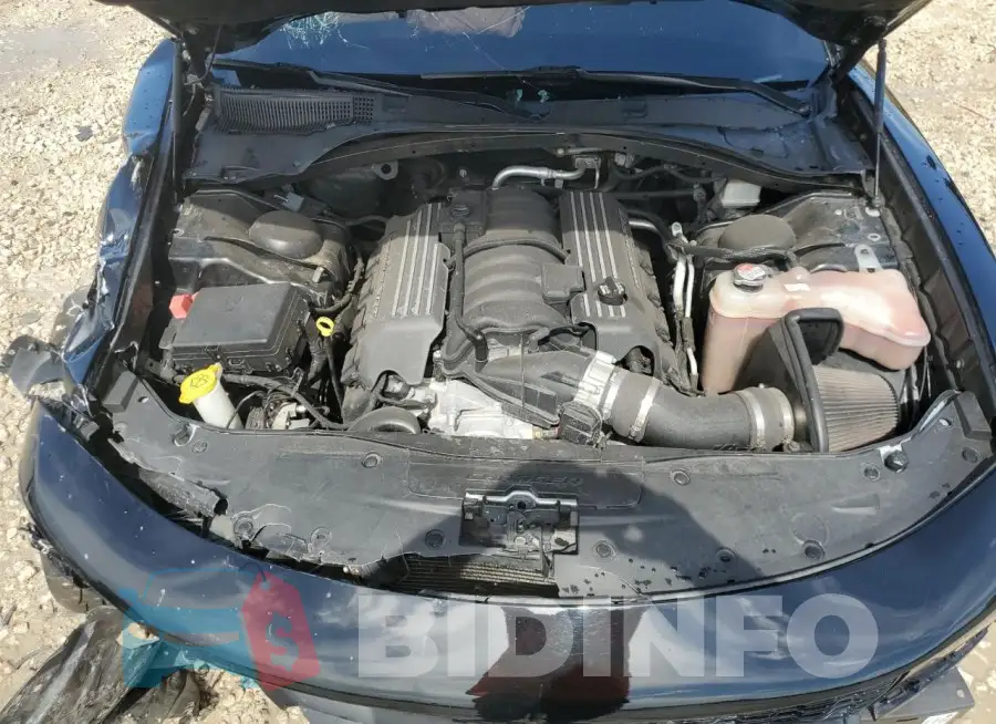 2C3CDXGJ8LH244234 Photo# 11