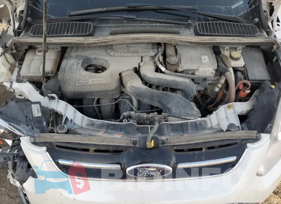 1FADP5CU5GL118407 Photo# 12