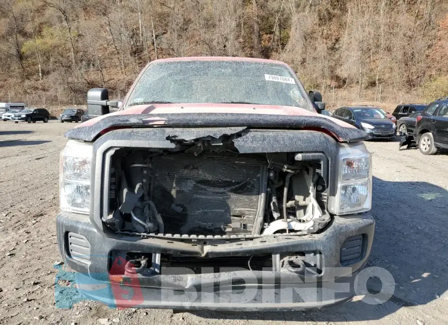 1FTBF2B62FED61794 Photo# 5