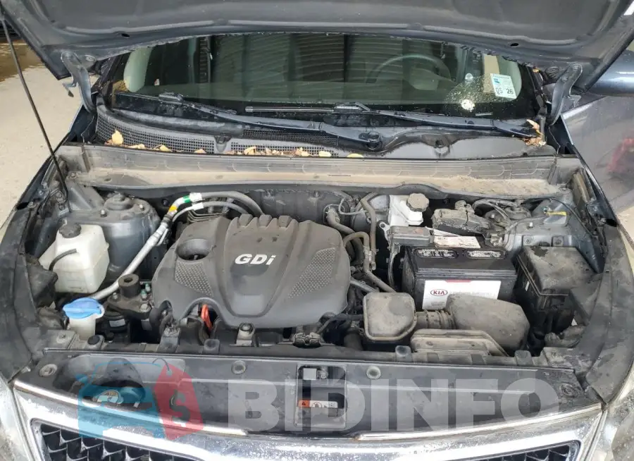 KNDPB3AC5G7828047 Photo# 12