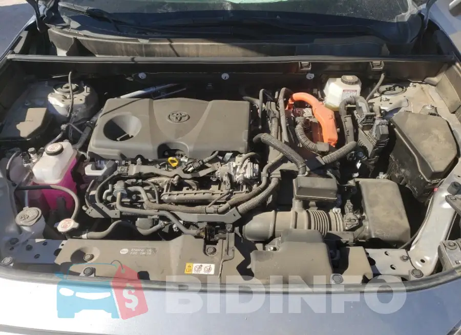 JTMB6RFV6PD101335 Photo# 12