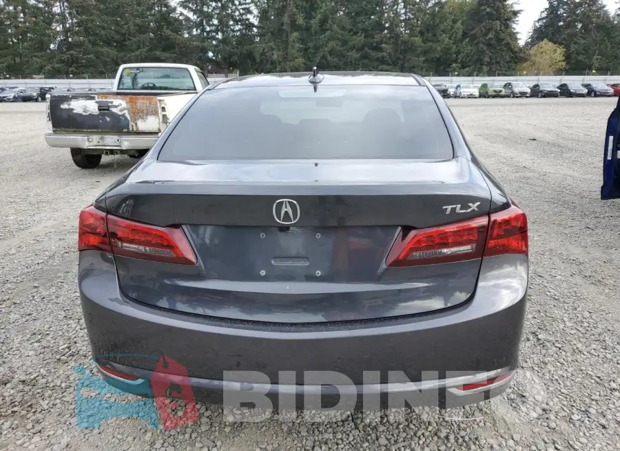 19UUB1F51GA003497 Photo# 6
