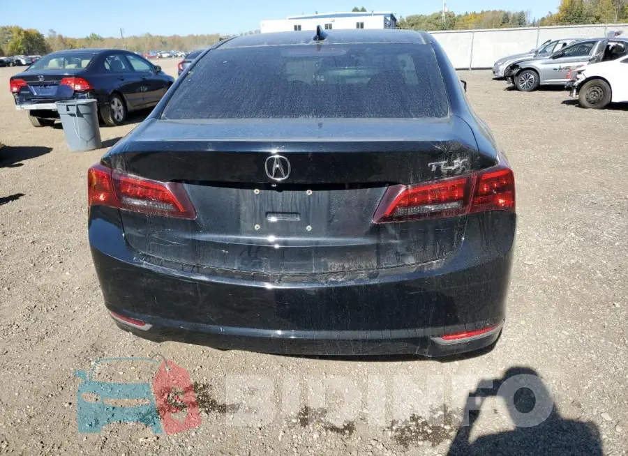19UUB1F55FA800110 Photo# 6