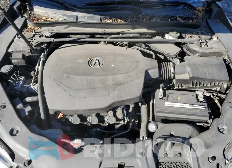 19UUB2F39GA006118 Photo# 11