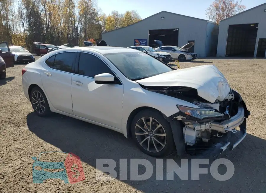 19UUB3F52FA803803 Photo# 4