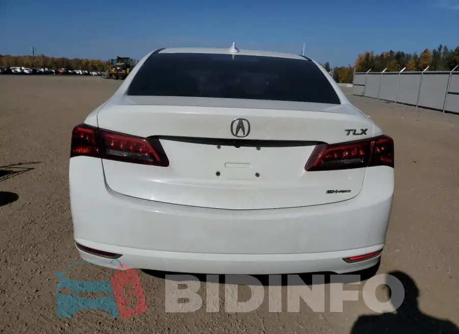 19UUB3F52FA803803 Photo# 6