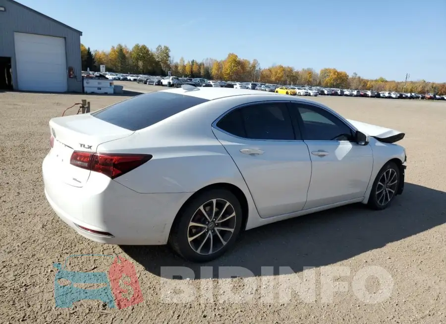 19UUB3F52FA803803 Photo# 3