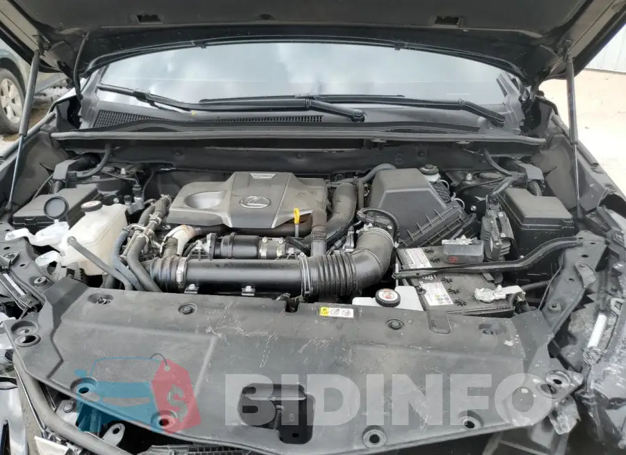 JTJSARDZ1M2251233 Photo# 12
