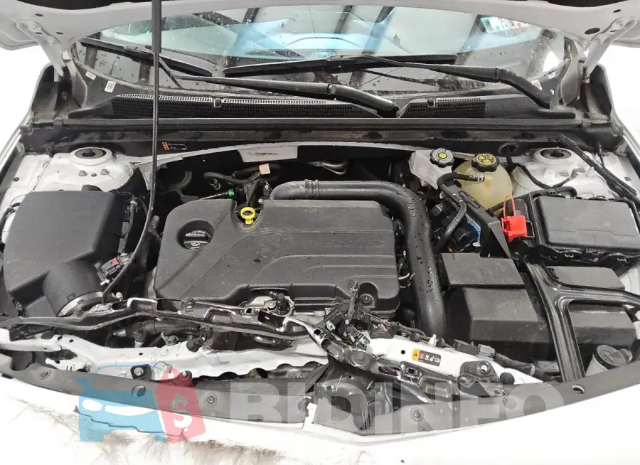 1G1ZD5ST6PF140392 Photo# 11