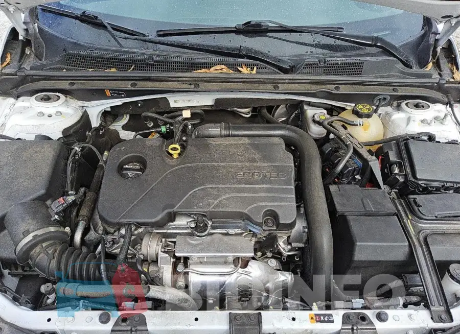 1G1ZD5ST8NF174590 Photo# 11