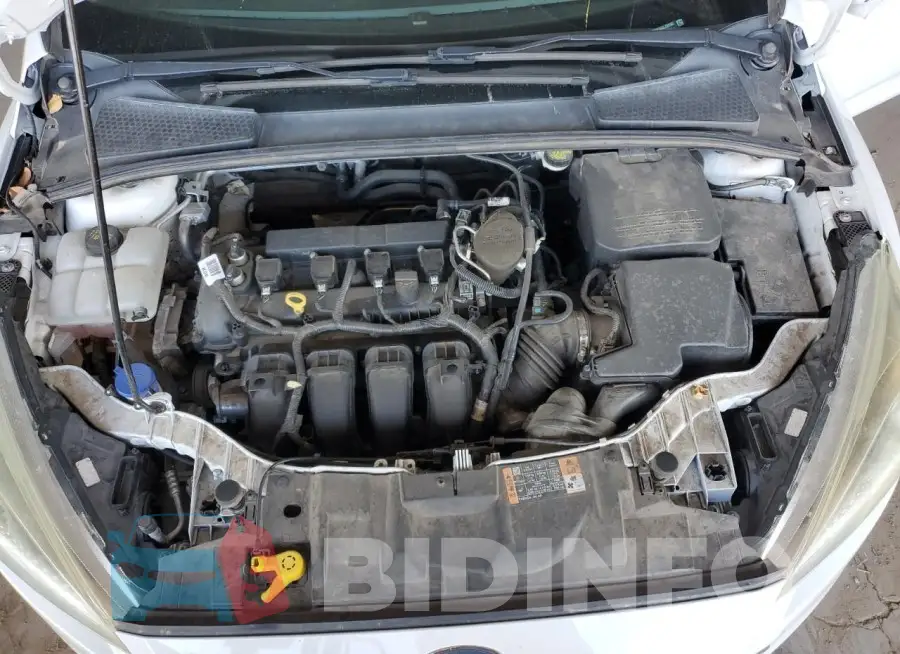1FADP3F29GL282502 Photo# 11