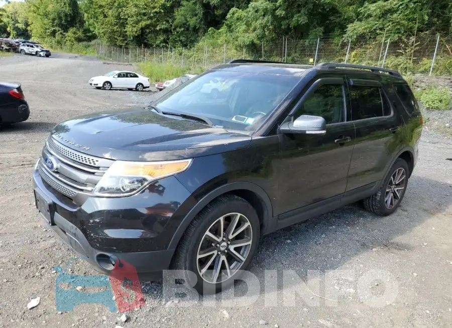 1FM5K8D83FGA11777 Photo# 1