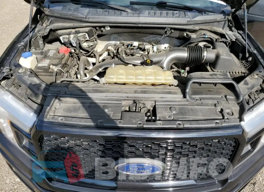 1FTEW1EP4KKC63101 Photo# 11