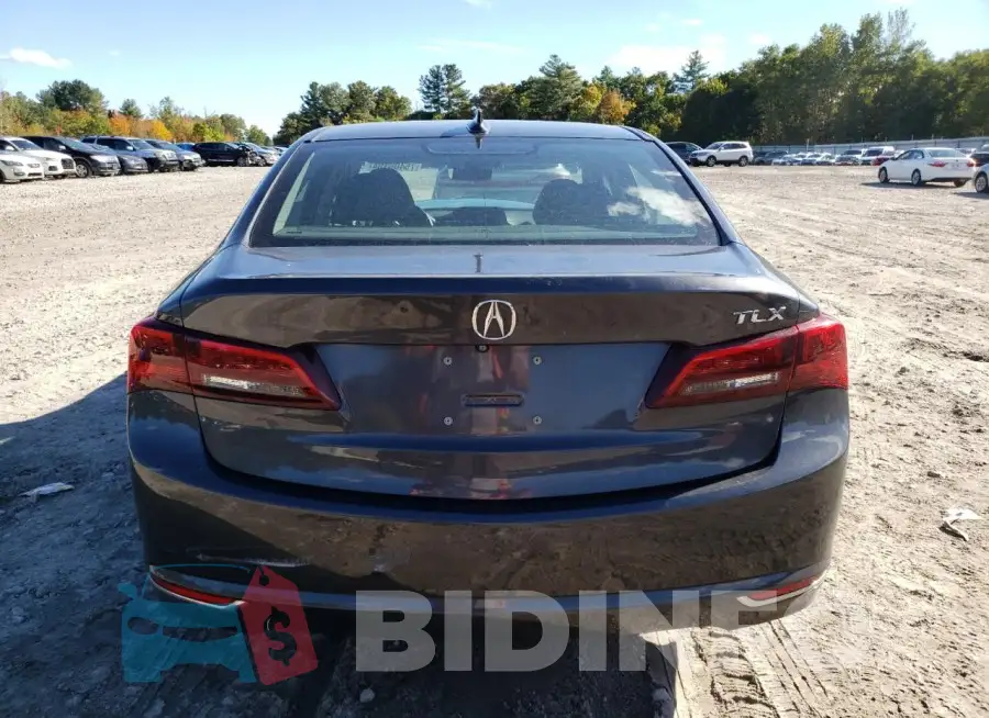 19UUB1F51FA008567 Photo# 6