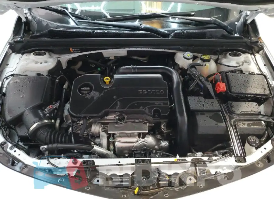 1G1ZD5ST1RF166675 Photo# 11