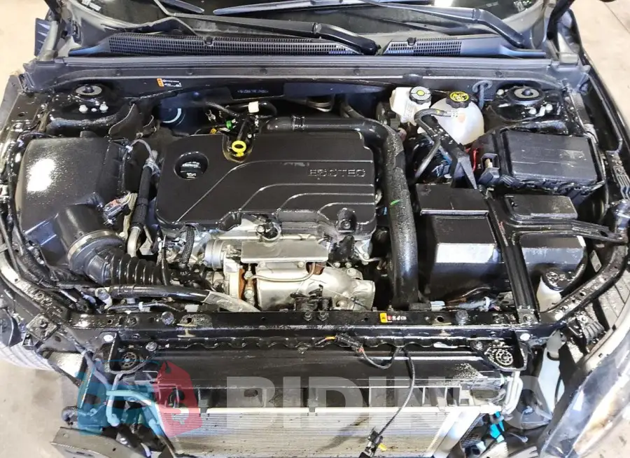 1G1ZD5ST7RF174361 Photo# 11