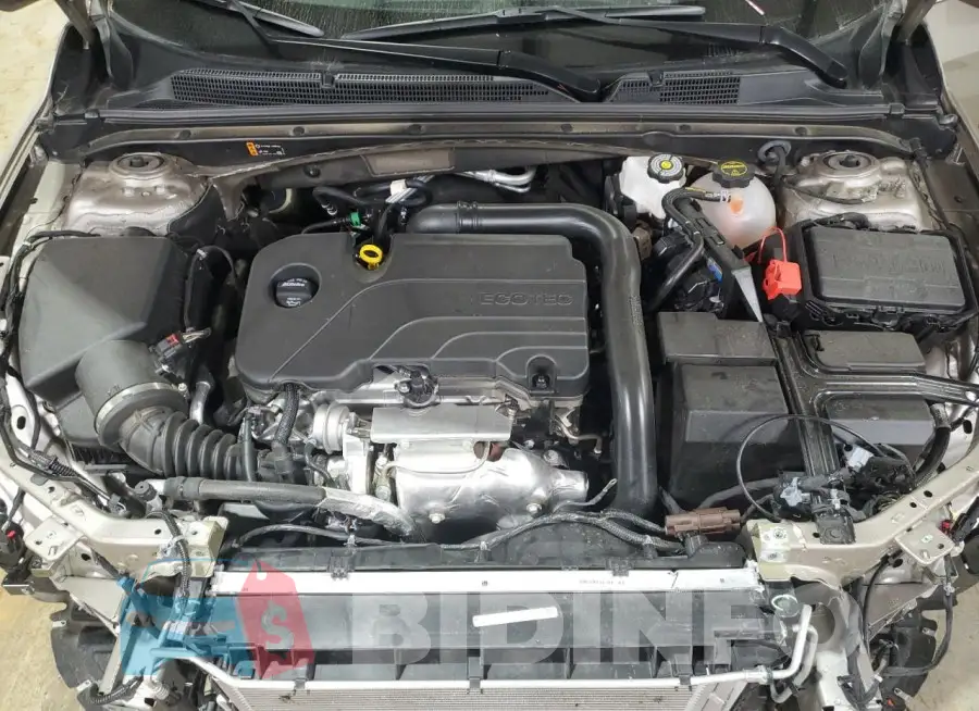 1G1ZD5ST8RF229707 Photo# 11