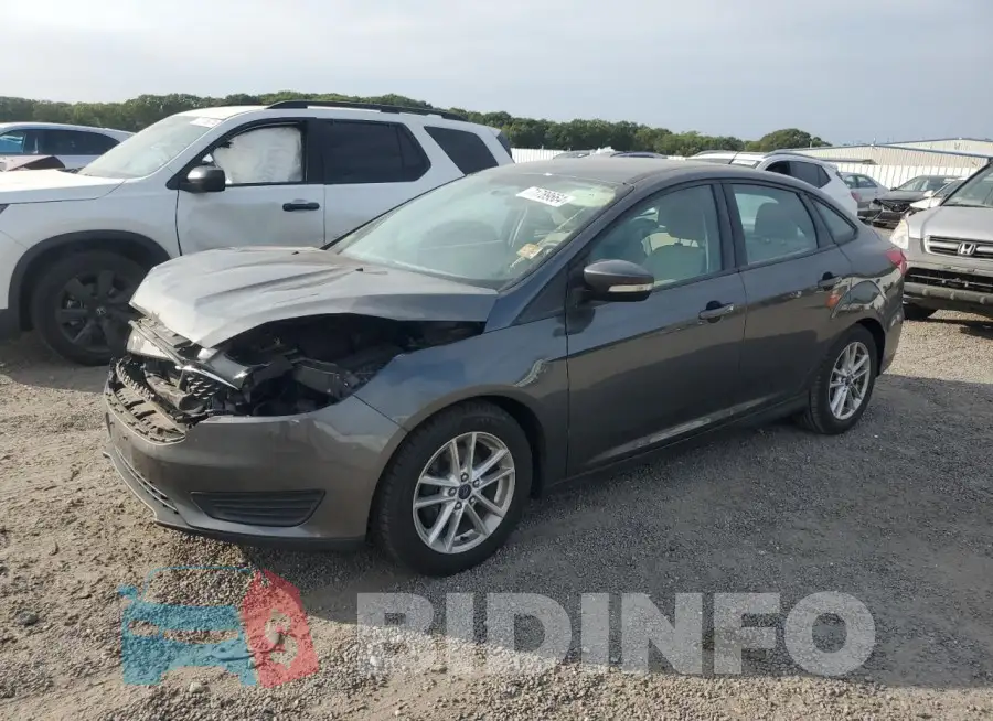 1FADP3F25FL267073 Photo# 1
