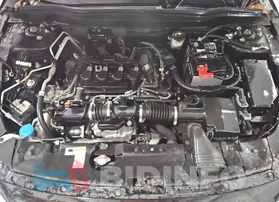 1HGCV1F12MA066281 Photo# 11