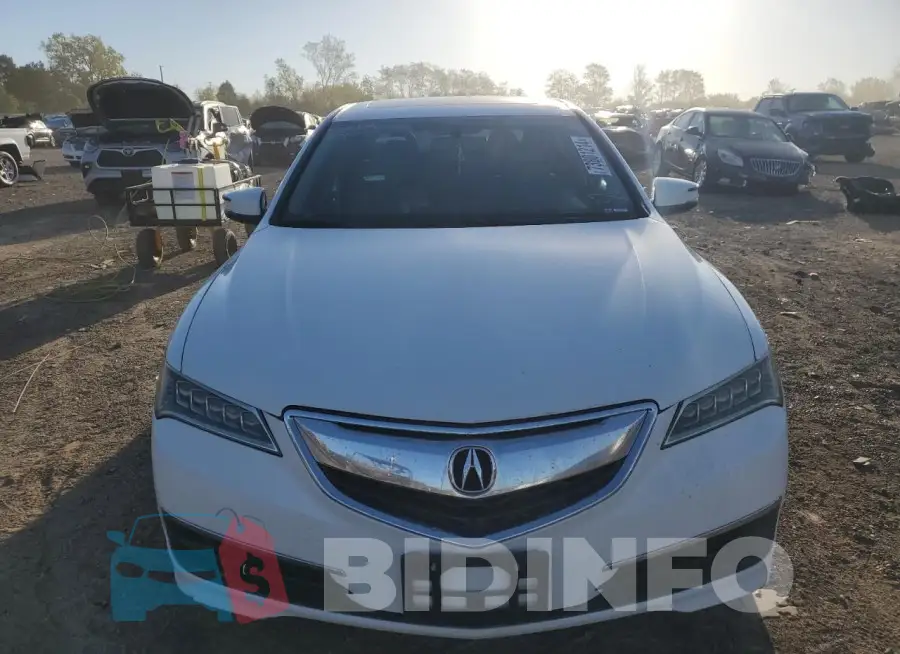 19UUB1F39FA013627 Photo# 5
