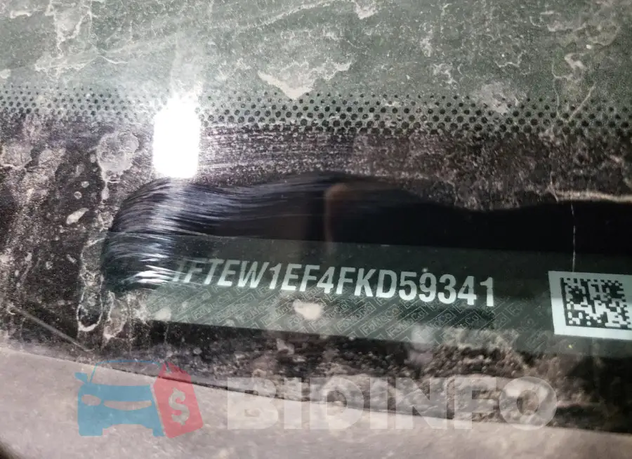 1FTEW1EF4FKD59341 Photo# 12