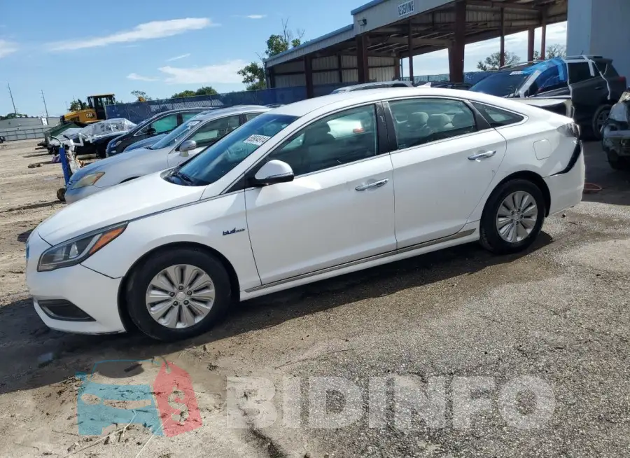 KMHE24L17GA013677 Photo# 1
