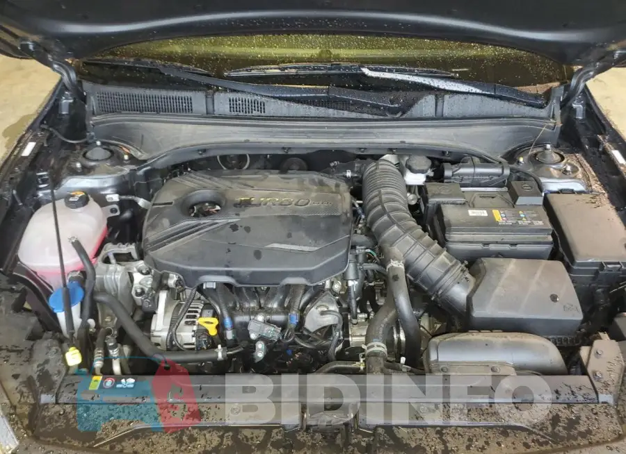 3KPF44AC3PE535436 Photo# 11