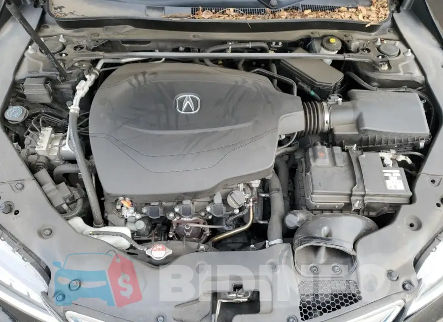 19UUB2F57GA008712 Photo# 11