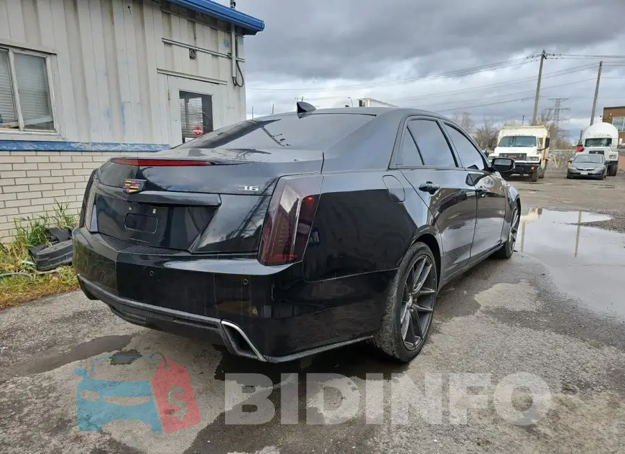 1G6AX5SS8J0142886 Photo# 4