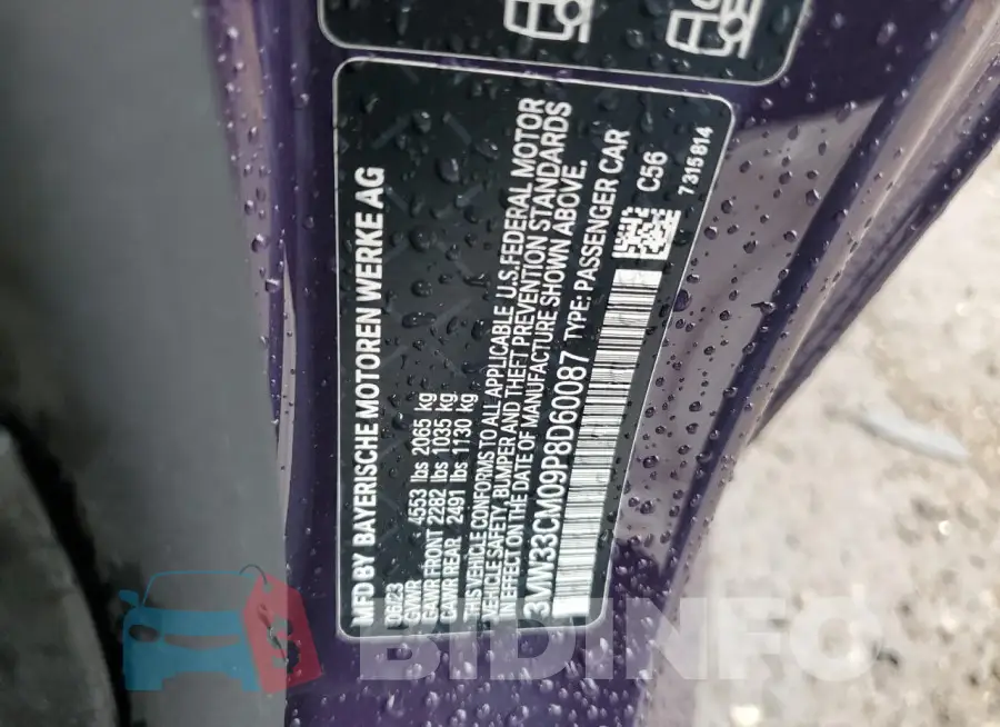 3MW33CM09P8D60087 Photo# 12