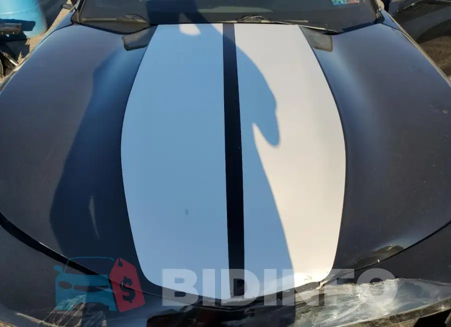 1G1FD3DS5L0103598 Photo# 11