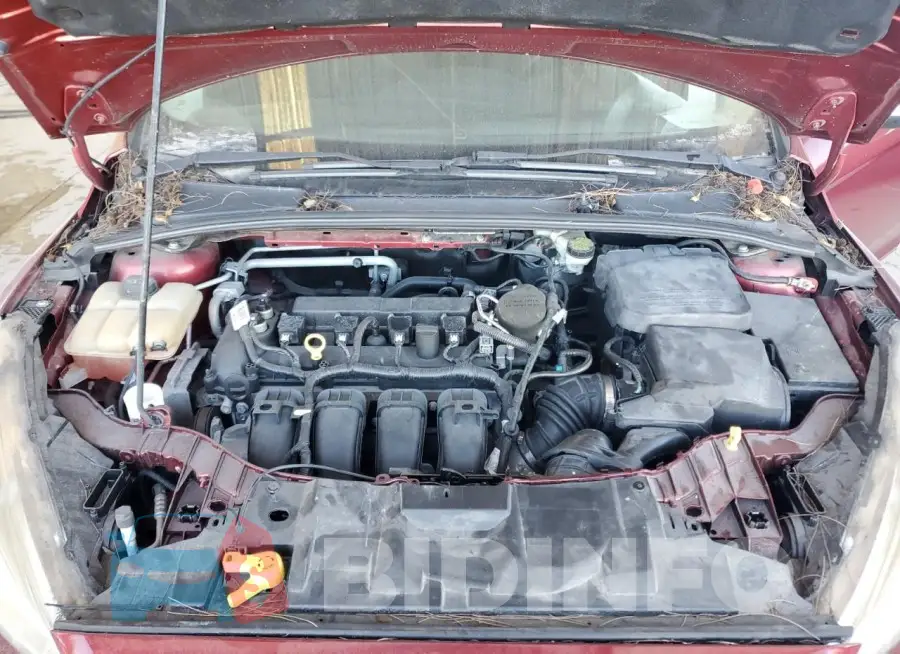 1FADP3F26GL219633 Photo# 11