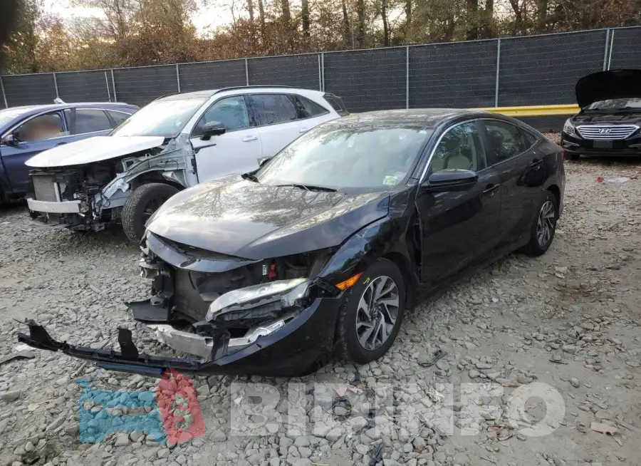19XFC2F74GE058969 Photo# 1