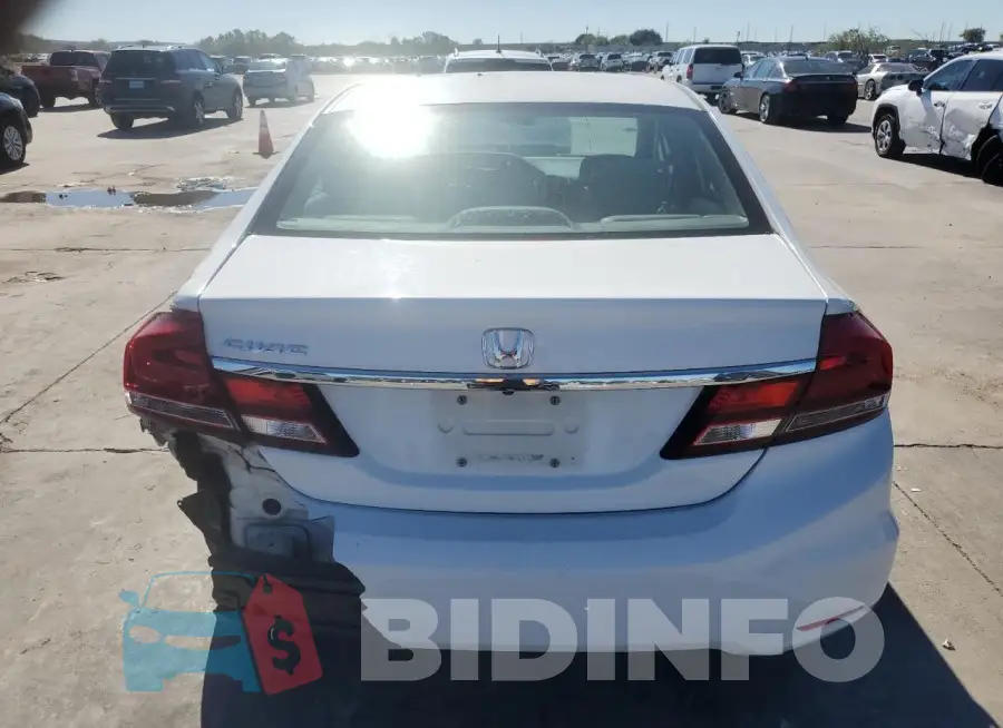 19XFB2F82FE067003 Photo# 6