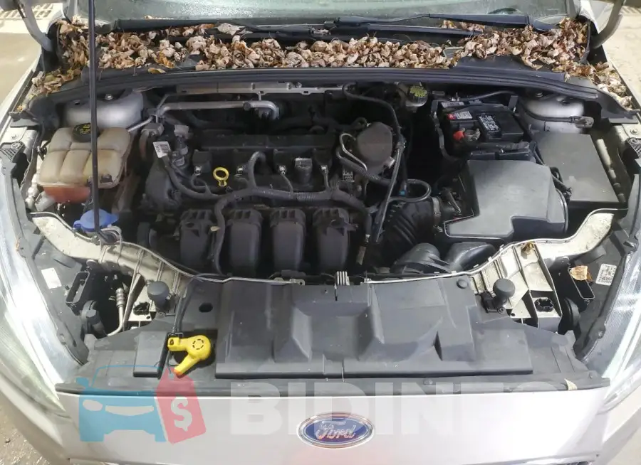 1FADP3F25FL219928 Photo# 11