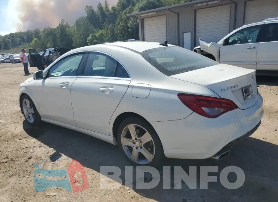 WDDSJ4GB5FN172563 Photo# 2