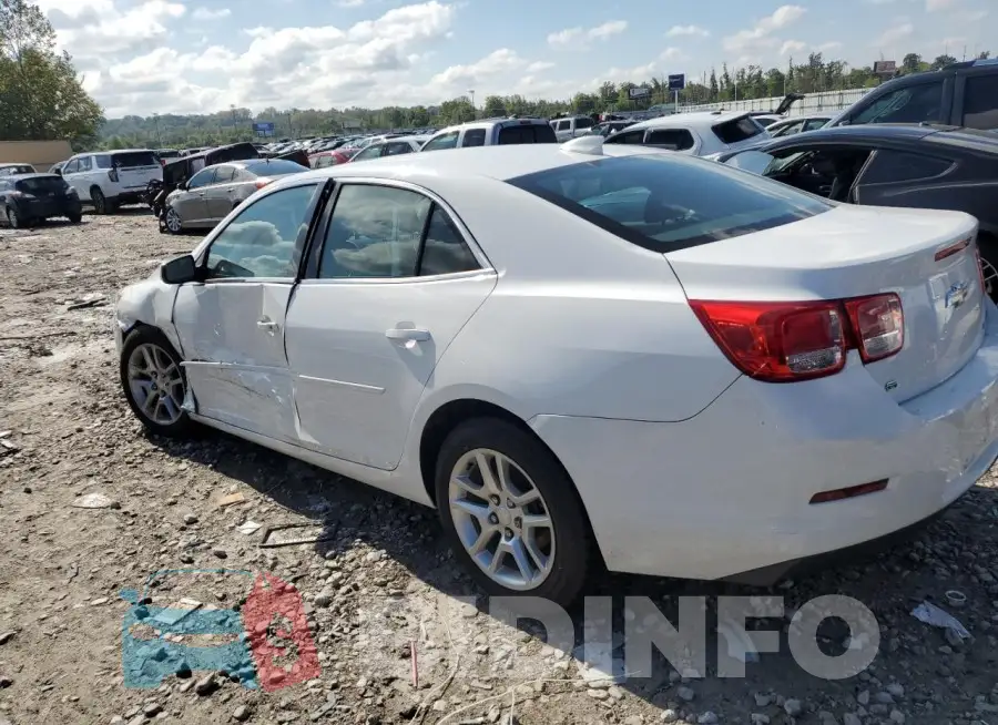 1G11C5SL1FF315534 Photo# 2