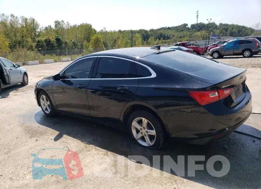 1G1ZB5ST7LF005695 Photo# 2
