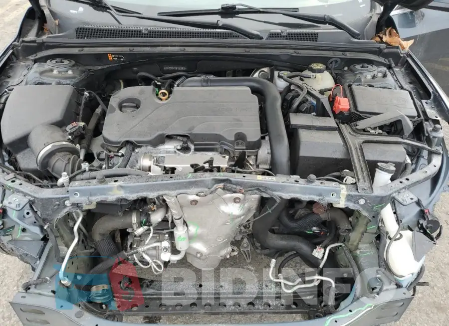 1G1ZD5ST5MF023270 Photo# 11