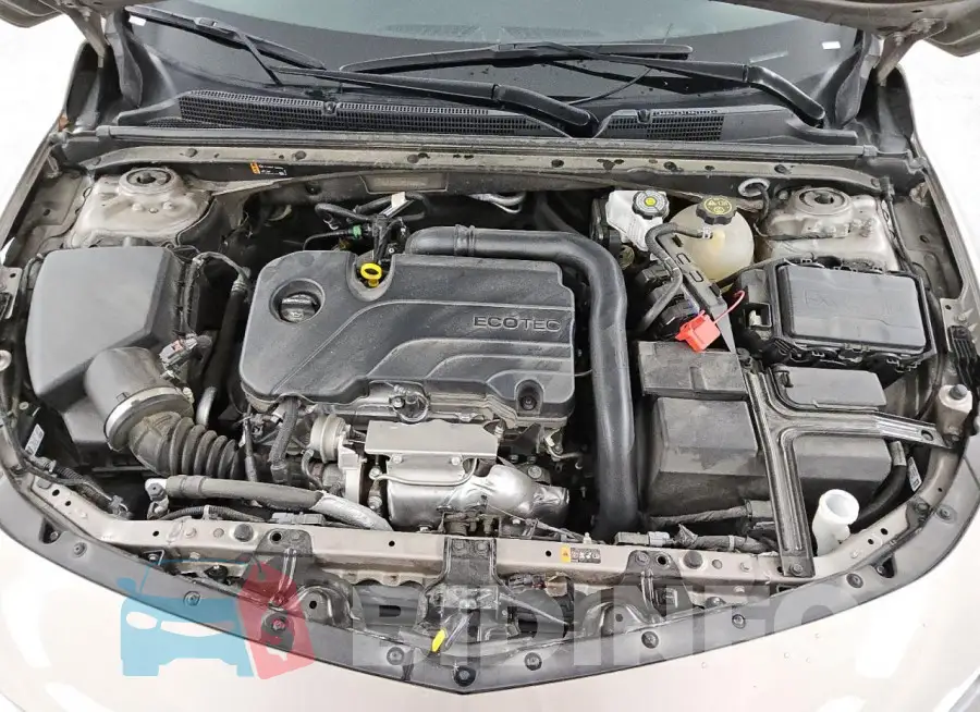 1G1ZD5ST8PF202875 Photo# 11